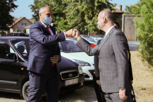 Sađenje sadnice drveta vrste "Ginko biloba"