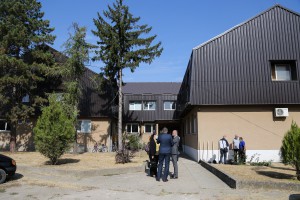 Sađenje sadnice drveta vrste "Ginko biloba"