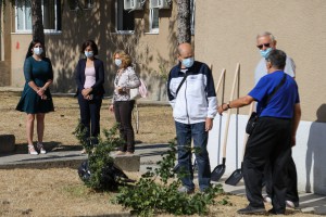 Sađenje sadnice drveta vrste "Ginko biloba"