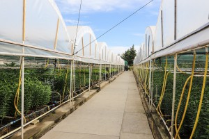 Razgovor povodom spaljivanja otpada i rastinja na Makovoj sedmici