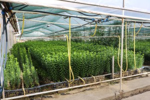 Razgovor povodom spaljivanja otpada i rastinja na Makovoj sedmici