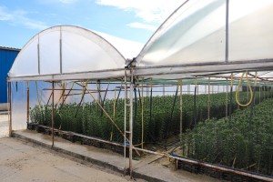 Razgovor povodom spaljivanja otpada i rastinja na Makovoj sedmici