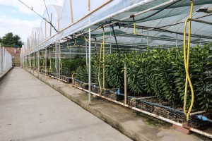 Razgovor povodom spaljivanja otpada i rastinja na Makovoj sedmici