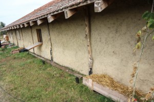 U poseti "Aleksinoj bašti"