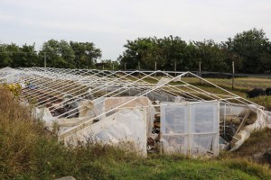 U poseti "Aleksinoj bašti"