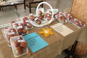 XVI Međunarodni festival organskih proizvoda "Biofest"