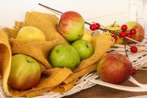 XVI Međunarodni festival organskih proizvoda "Biofest"