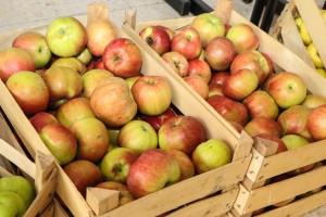 XVI Međunarodni festival organskih proizvoda "Biofest"