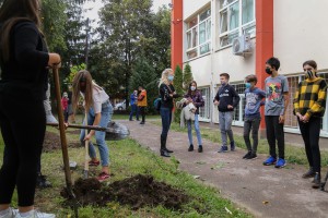 Aktivnosti vezane za zaštitu životne sredine u okviru obeležavanja Dečje nedelje