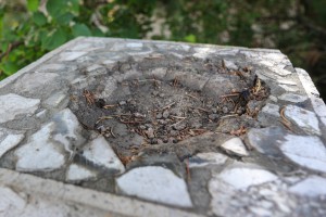 Polaganje venaca kod postamenta Jovanu Mikiću Spartaku