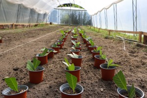 Obilazak Dnevnog boravka za odrasle pri Domu "Kolevka"