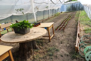 Obilazak Dnevnog boravka za odrasle pri Domu "Kolevka"