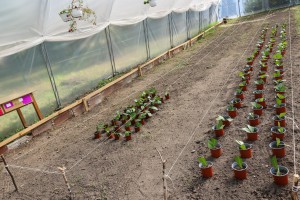 Obilazak Dnevnog boravka za odrasle pri Domu "Kolevka"