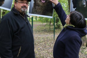 Promocija "Uhvati, steriliši i pusti" programa i udomljenja pasa sa markicom