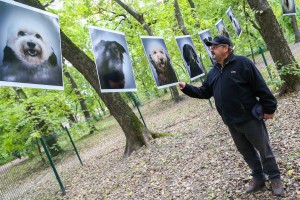 Promocija "Uhvati, steriliši i pusti" programa i udomljenja pasa sa markicom