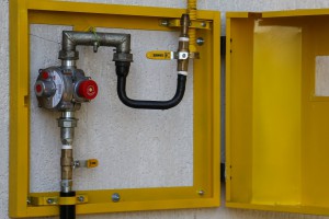 Obeležavanje realizacije plana investicionih ulaganja izgradnje gasne mreže na Paliću