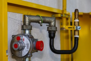 Obeležavanje realizacije plana investicionih ulaganja izgradnje gasne mreže na Paliću