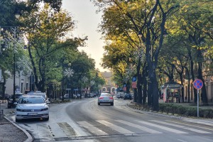 Postavljanje novogodišnje svetlosne dekoracije