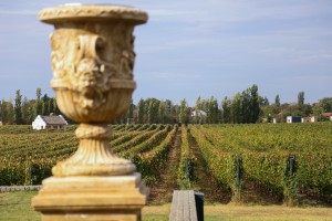 Reportaža o degustaciji vina