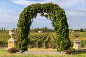 Reportaža o degustaciji vina