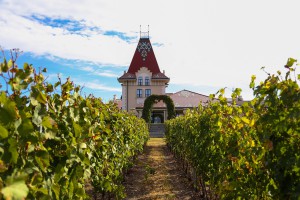 Reportaža o degustaciji vina