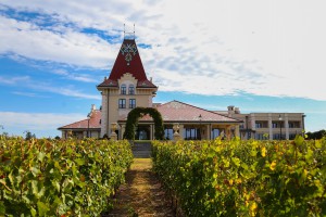 Reportaža o degustaciji vina