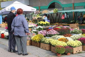 Grobljansko cveće na "Zelencu" u susret prazniku "Svi sveti"