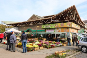 Grobljansko cveće na "Zelencu" u susret prazniku "Svi sveti"