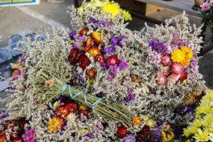Grobljansko cveće na "Zelencu" u susret prazniku "Svi sveti"