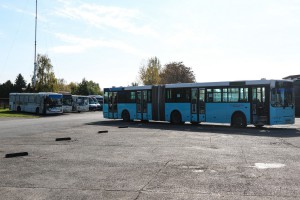 Smotra Zimske službe