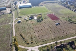 Pošumljavanje nekadašnje deponije oko sportskog kompleksa u Novom Žedniku