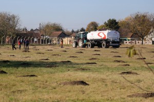 Pošumljavanje nekadašnje deponije oko sportskog kompleksa u Novom Žedniku