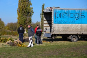 Pošumljavanje nekadašnje deponije oko sportskog kompleksa u Novom Žedniku