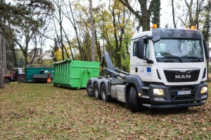 Nastavak akcije revitalizacije drvoreda u zaštićenom području Spomenik prirode "Stabla hrasta lužnjaka na Paliću"