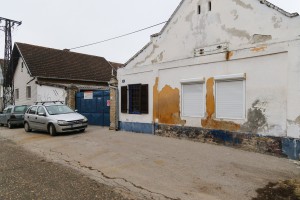 Izložba slika subotičkih autora