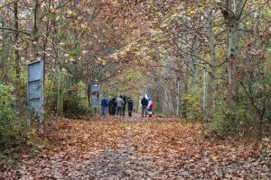 Obeležavanje Dana SFRJ i polaganje venaca na bistu Josipu Brozu Titu