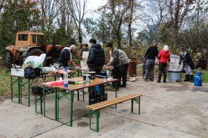 Obeležavanje Dana SFRJ i polaganje venaca na bistu Josipu Brozu Titu