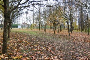 Obeležavanje Dana SFRJ i polaganje venaca na bistu Josipu Brozu Titu