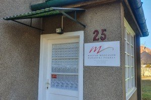 Konferencija za medije Pokreta građanske Subotice