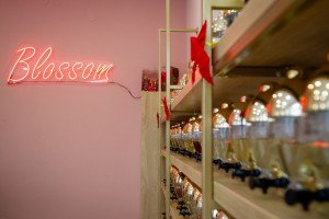 Parfimerija "Blossom"