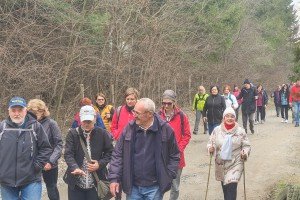 Šetnja zdravlja kroz Subotičku peščaru
