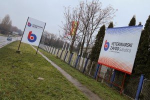 Poseta ekonomskog savetnika Ambasade Španije Veterinarskom zavodu