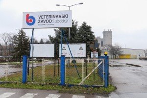 Poseta ekonomskog savetnika Ambasade Španije Veterinarskom zavodu