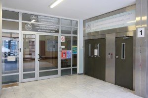 Obilazak žene povređene u napadu čopora pasa lutalica