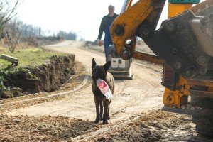 Obilazak radova na izgradnji biciklističke staze uz obalu Palićkog jezera