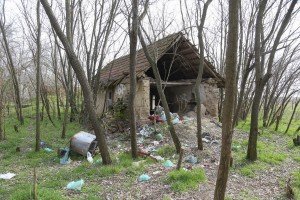 Tavankut pod pojačanim nadzorom policije zbog migranata