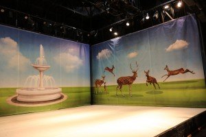 Najava premijere predstave "Vitezovi Lake male" pozorišta Deže Kostolanji