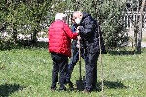 Sadnja mladica drveća u dvorištu vrtića "Hajdi"
