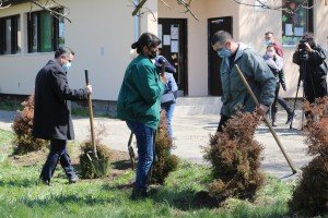 Sadnja mladica drveća u dvorištu vrtića "Hajdi"