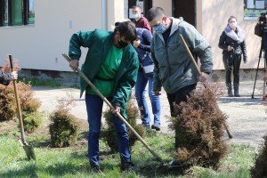 Sadnja mladica drveća u dvorištu vrtića "Hajdi"